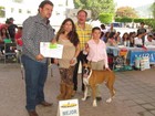 Gran participación en la Expo Canina Molassas
