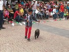 Gran participación en la Expo Canina Molassas