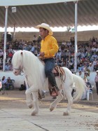 Aspecto del Caballo Bailador en la Feria Zapotlán 2014