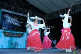 Aspecto del Encuentro Nacional de Danza en el Festival Cultural Zapotlán 2015