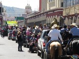 Toro de Veterinaria en la Feria Zapotlán 2015