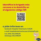 Boletín Informativo del Gobierno de Zapotlán el Grande